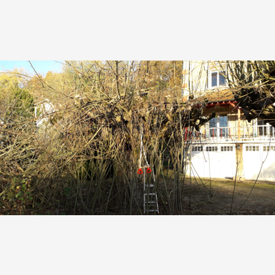 image_Jardinier Entretien espaces verts