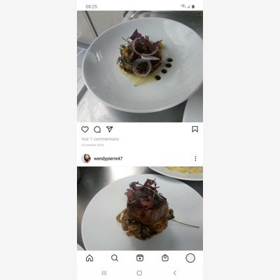 image_Plat gastronomique et plat créole