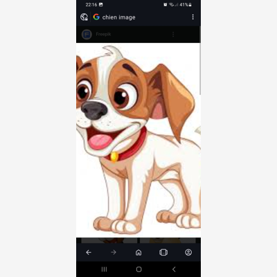 image_Dogsitter 🐕