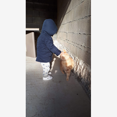 image_Recherche Petsitter pour mon chat