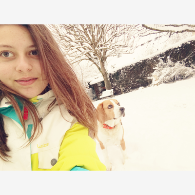 image_Garde chiens ou chats