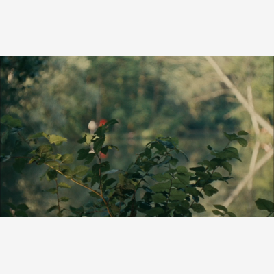 image_URGENT RECHERCHE ACTEUR COURT METRAGE ETUDIANT BENEVOLE