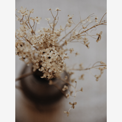 image_Photographe, styliste photo et storyteller