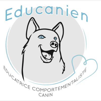 image_Pension familiale et éducation canine