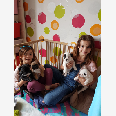 image_Garde à mon domicile (chiens)