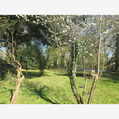 image_Entretien de jardin régulier à l'année