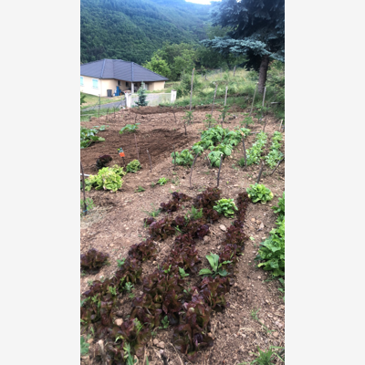 image_Propose entretient des espaces verts