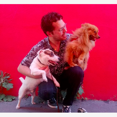 image_Garde d'animaux et promenade
