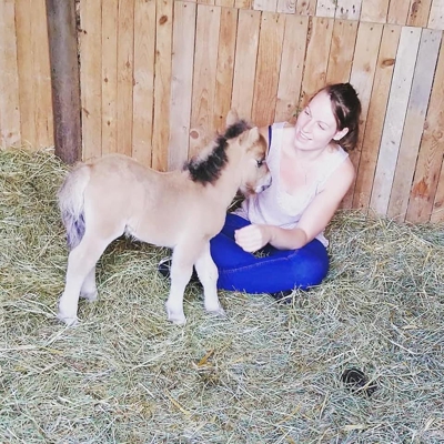 image_Garde d’animaux