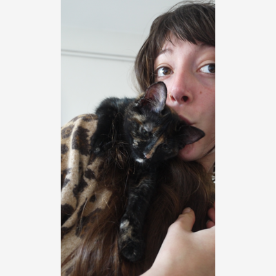 image_Amour et sécurité pour vos animaux <3