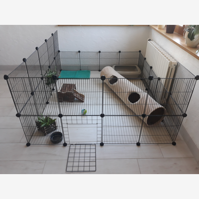image_Garde de lapins en semi-liberté (enclos spacieux individuel), de cochons d'Inde et de petits rongeurs