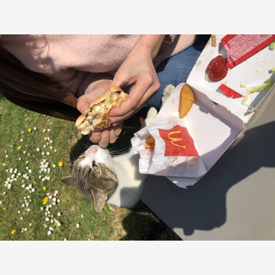 image_Petits animaux en vacances