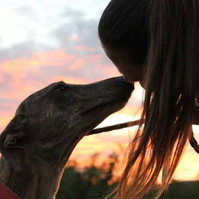 image_je m occupe de vos animaux pendant votre absence
