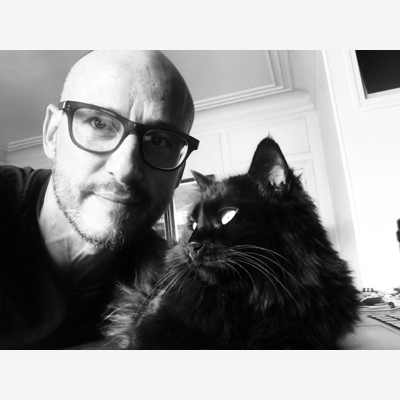image_garder une petite chatte les 3 premières semaines d'août