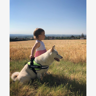 image_Garde d’animaux