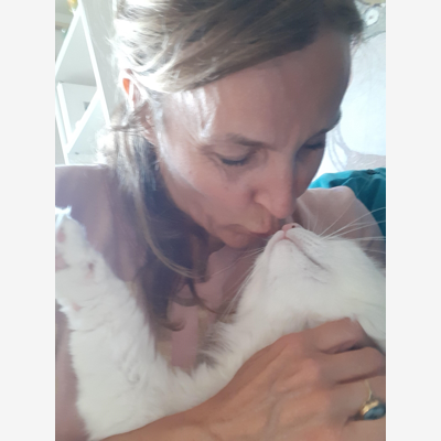 image_RECHERCHE UN.E GENTIL.LE GARDIEN.NE POUR MON CHAT BOWIE