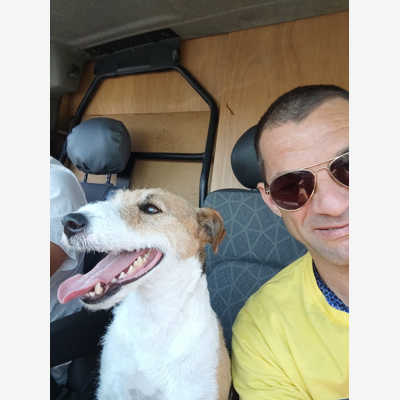 image_Garde d'animaux