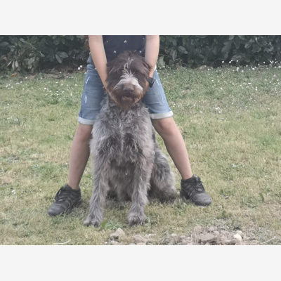 image_Recherche