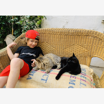 image_Garde de chats avec extérieur