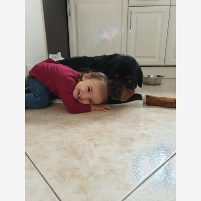 image_Rottweiller a garder 1 mois