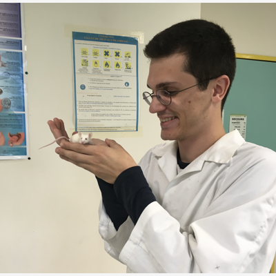 image_Cours particuliers SVT Terminal - préparation BAC et Grand Oral.