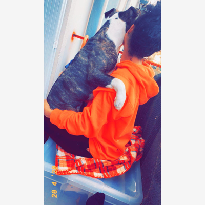 image_Garde D'animaux