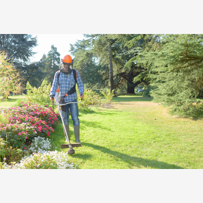 image_Jardinage