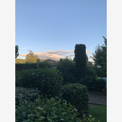 image_Entretien jardin