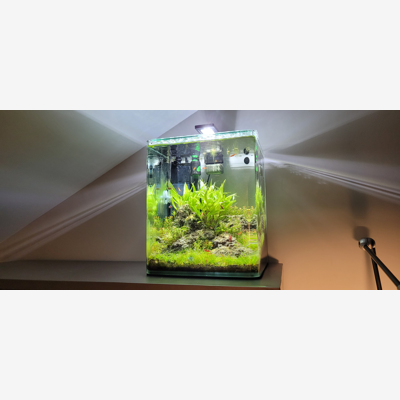 image_Création / Conseils d'aquarium & Bassin