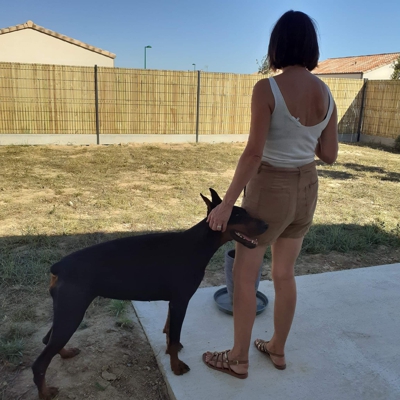 image_Pet sitter Chien et chat