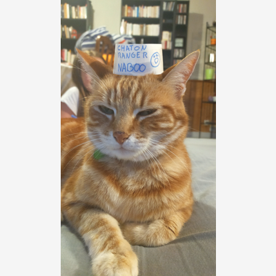 image_Nous chouchoutons vos animaux