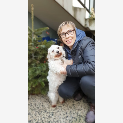 image_Garde chiens , cats