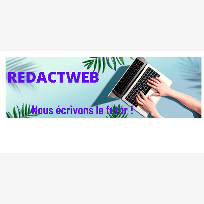 image_RÉDACTION DE CONTENU WEB SEO POUR PROPULSER VOTRE E- RÉPUTATION