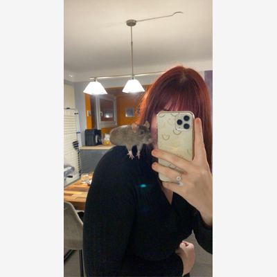 image_Je recherche une famille d’accueil pour ma rate
