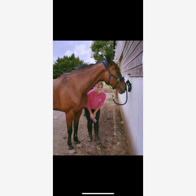 image_Garde d’animaux