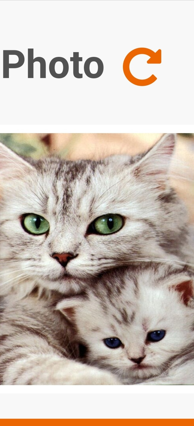 image_Garde chats et chiens