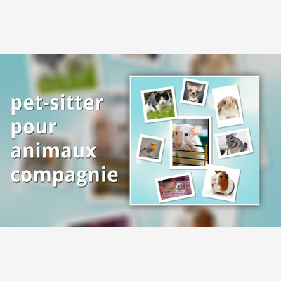 image_pet sitter
