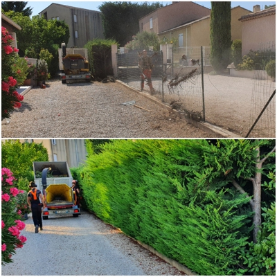 image_Entretien jardin