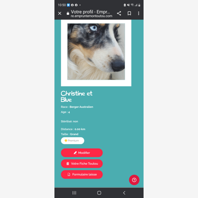 image_Cherche une personne aimant les animaux pour garde mon Berger Australien à mon domicile