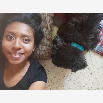image_Garde des chiens chez vous!