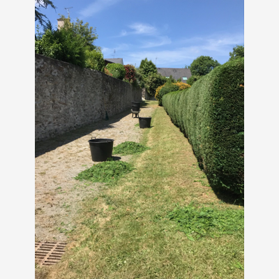 image_Services de jardinage