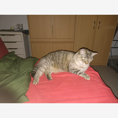 image_Recherche une gentille personne
