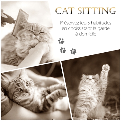 image_AUX PTI SOINS | Garde à domicile / Promenades canines - Petsitter certifiée
