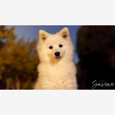 image_Studio Photos 65