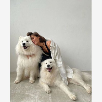 image_Gardes & promenades chiens/chats