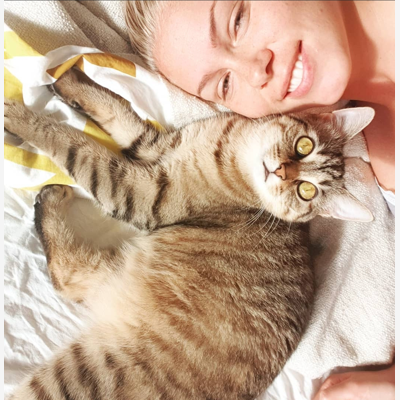 image_La Compagnie des Chats