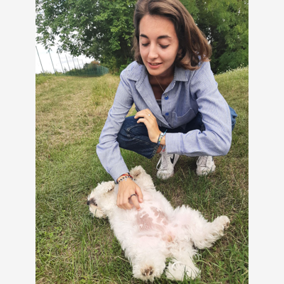 image_Au service de votre animal