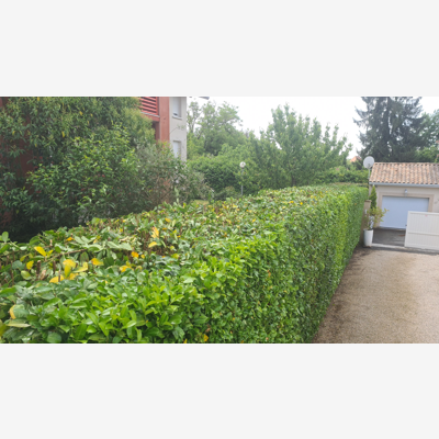 image_Jardinier paysagiste