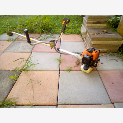 image_Jardinier