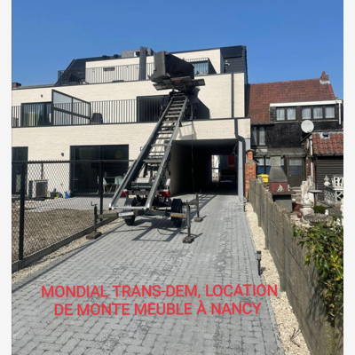 image_Demenageur professionnel